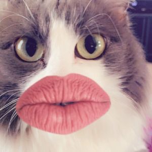 Meet your Posher, Celiacelia